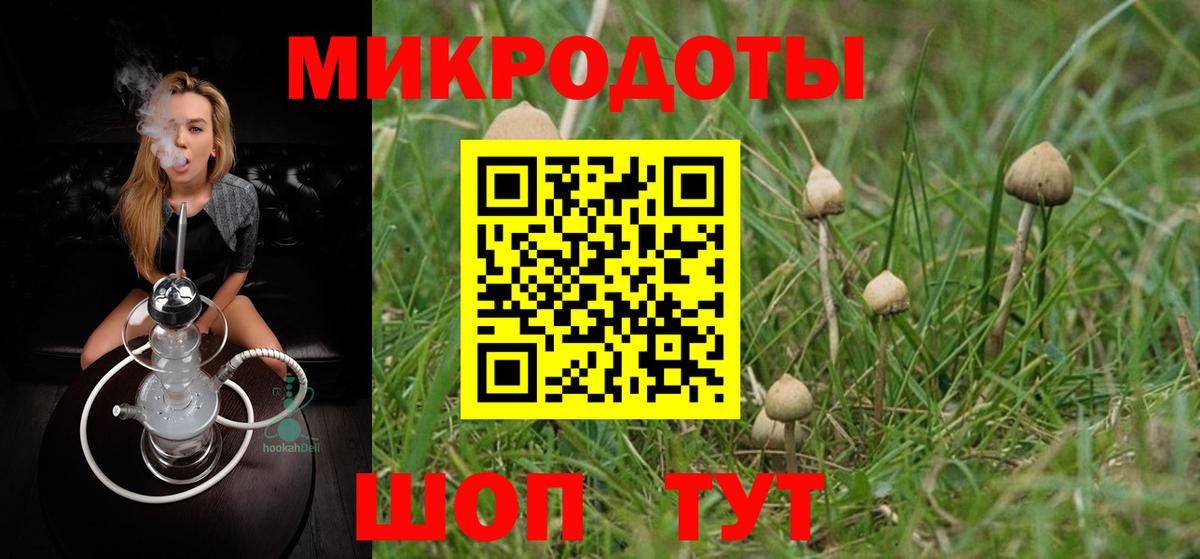 Ижевск  Псилоцибиновые грибы ЛСД  Вход с VPN  Галлюциногенные грибы мицелий 